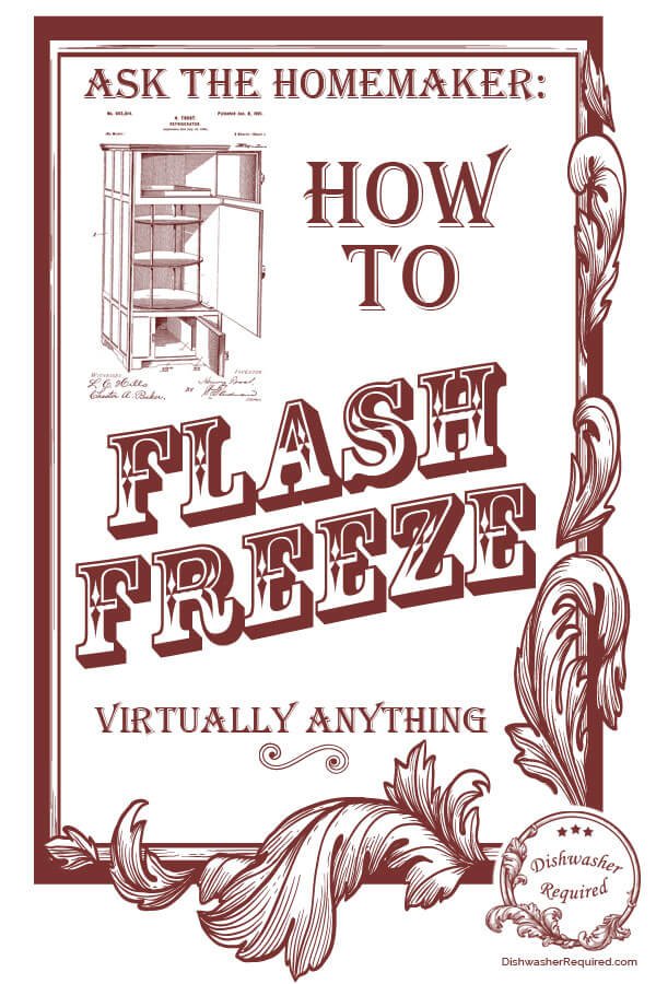 How to flash freeze virtually anything! This will make your life so much easier!